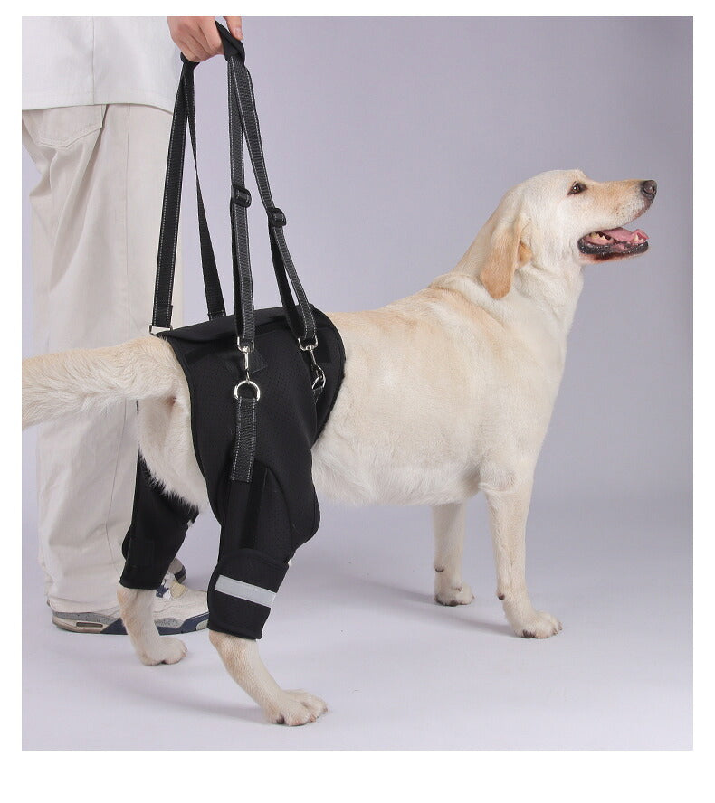 DEERPET Adjustable Rear-Leg Support Harness - detail view 12