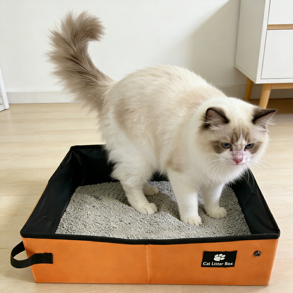 DEERPET Foldable Portable Cat Litter Box - main view