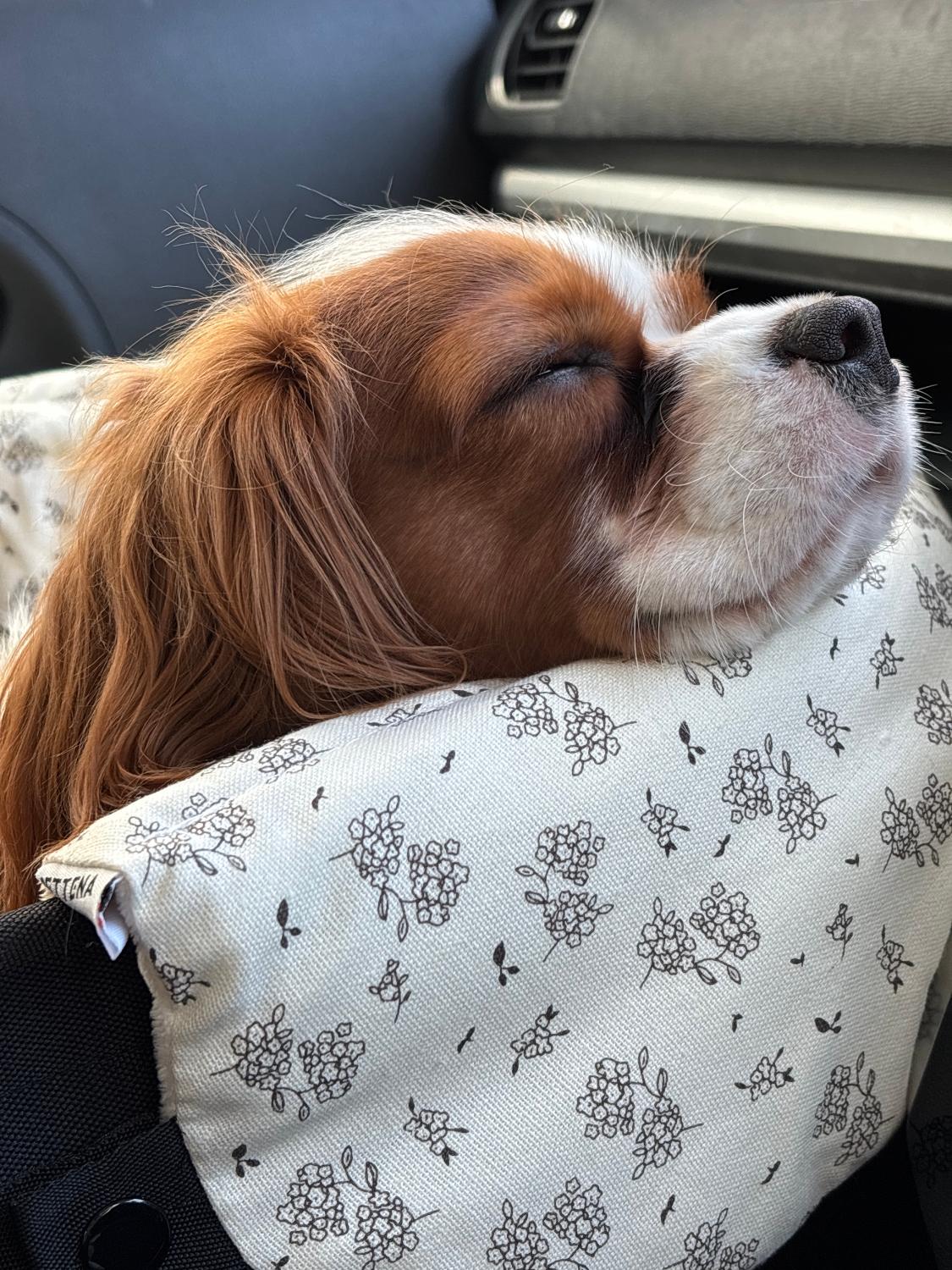 DEERPET Floral 3-Piece Pet Stroller Cushion Set - detail view 3
