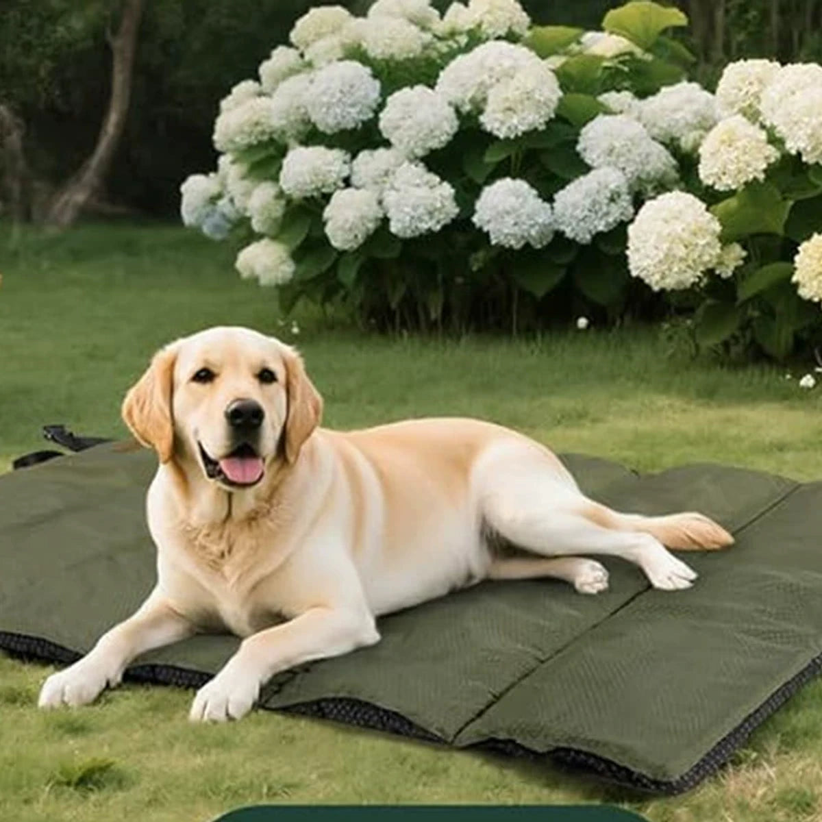DEARPET Foldable XL Outdoor Dog Mat - product image 3