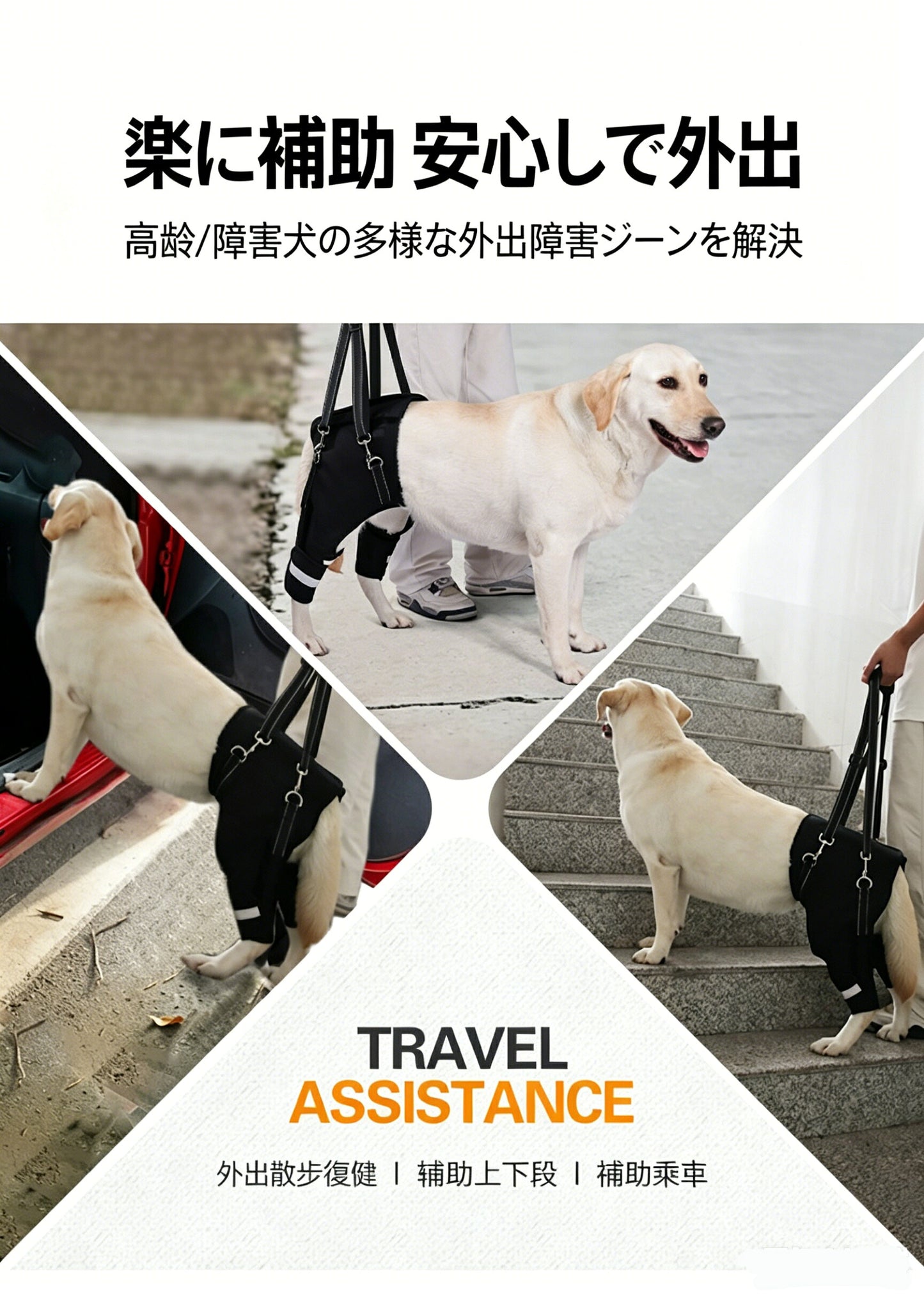 DEERPET Adjustable Rear-Leg Support Harness - detail view 5
