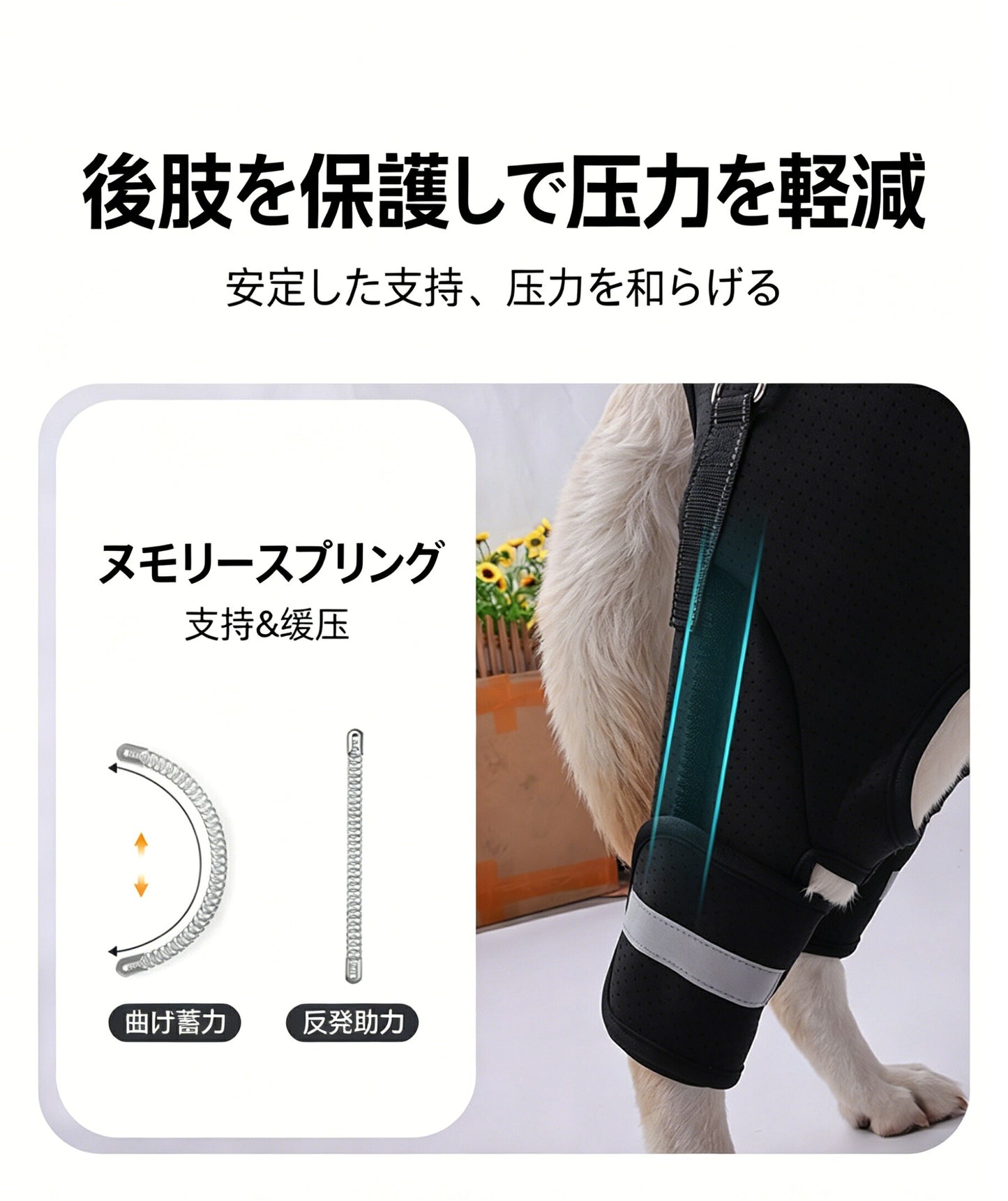 DEERPET Adjustable Rear-Leg Support Harness - detail view 6
