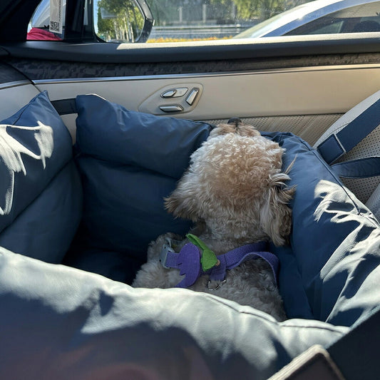 DEERPET 2-in-1 Car Seat Bed & Travel Carrier - detail view 6
