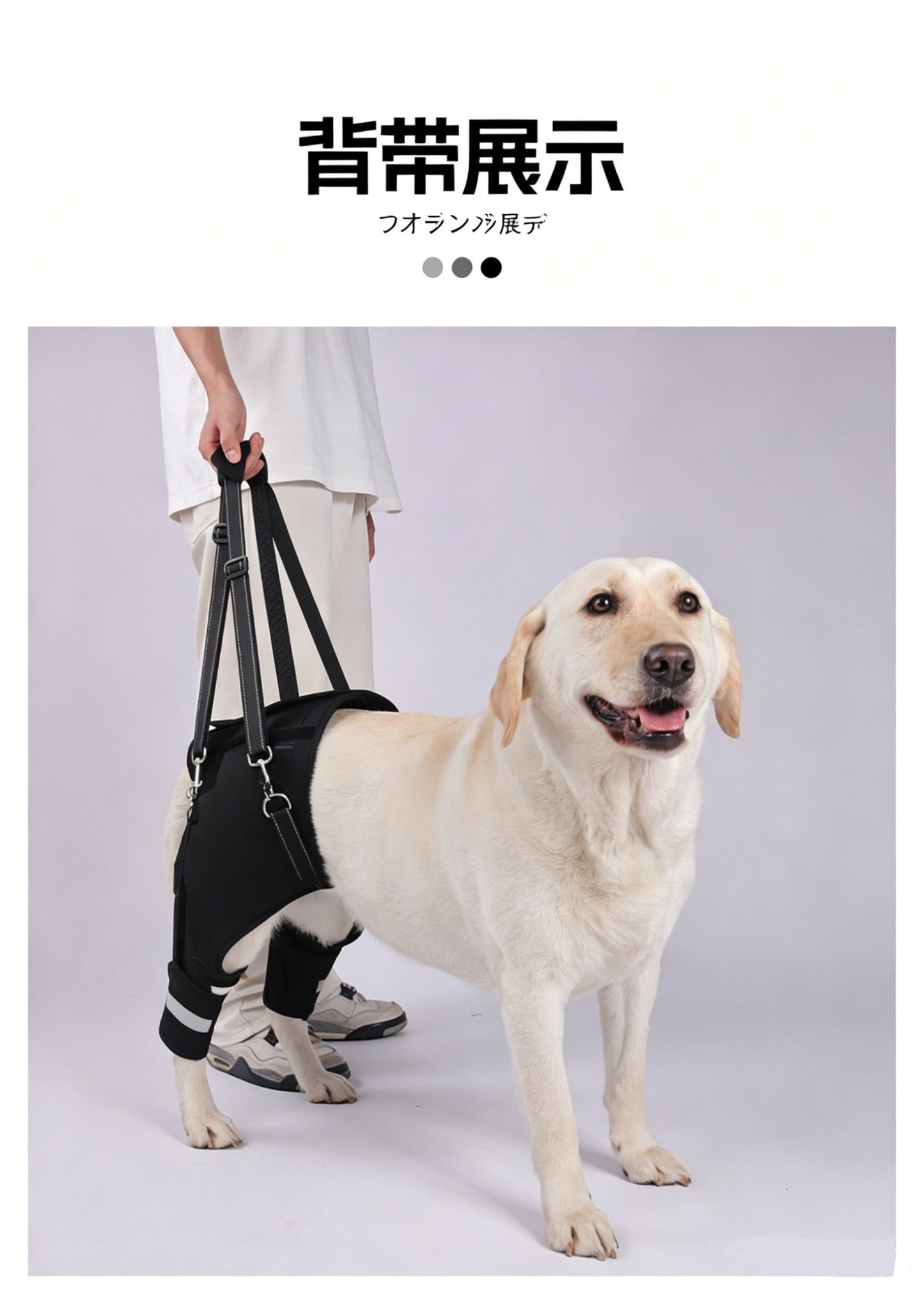 DEERPET Adjustable Rear-Leg Support Harness - detail view 10