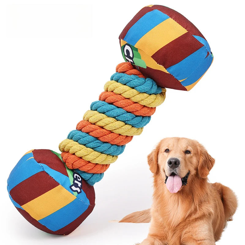Squeaky Dumbbell Dog Toy