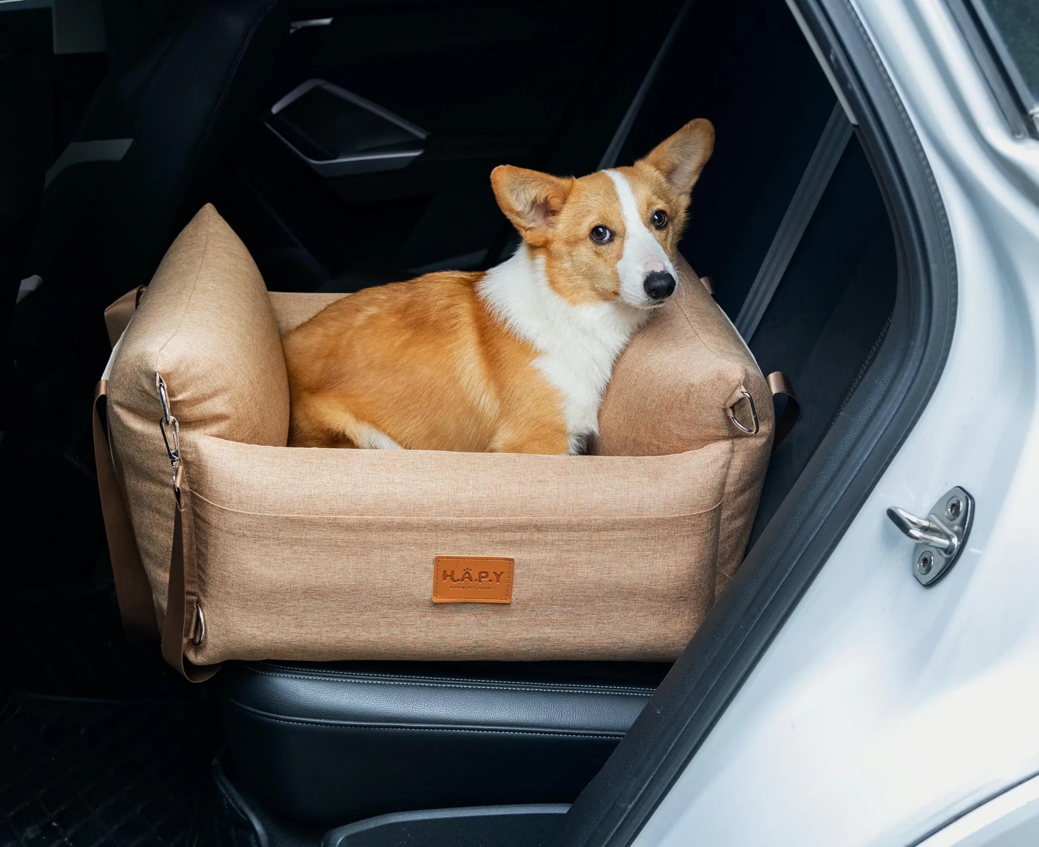 Dog sitting in a DearPet car bed