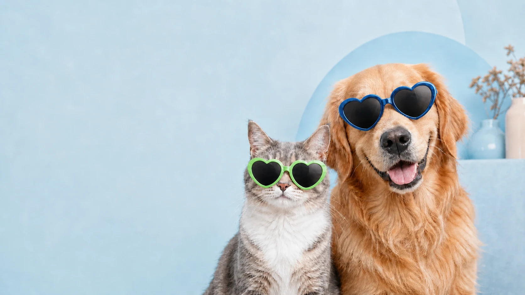 A cat and a golden retriever wearing sunglasses against a soft blue background