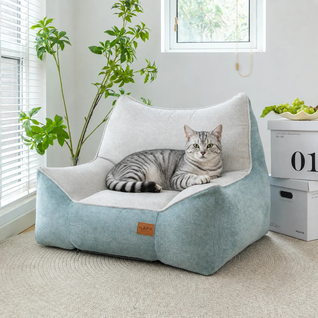DearPet Home Comfort product preview
