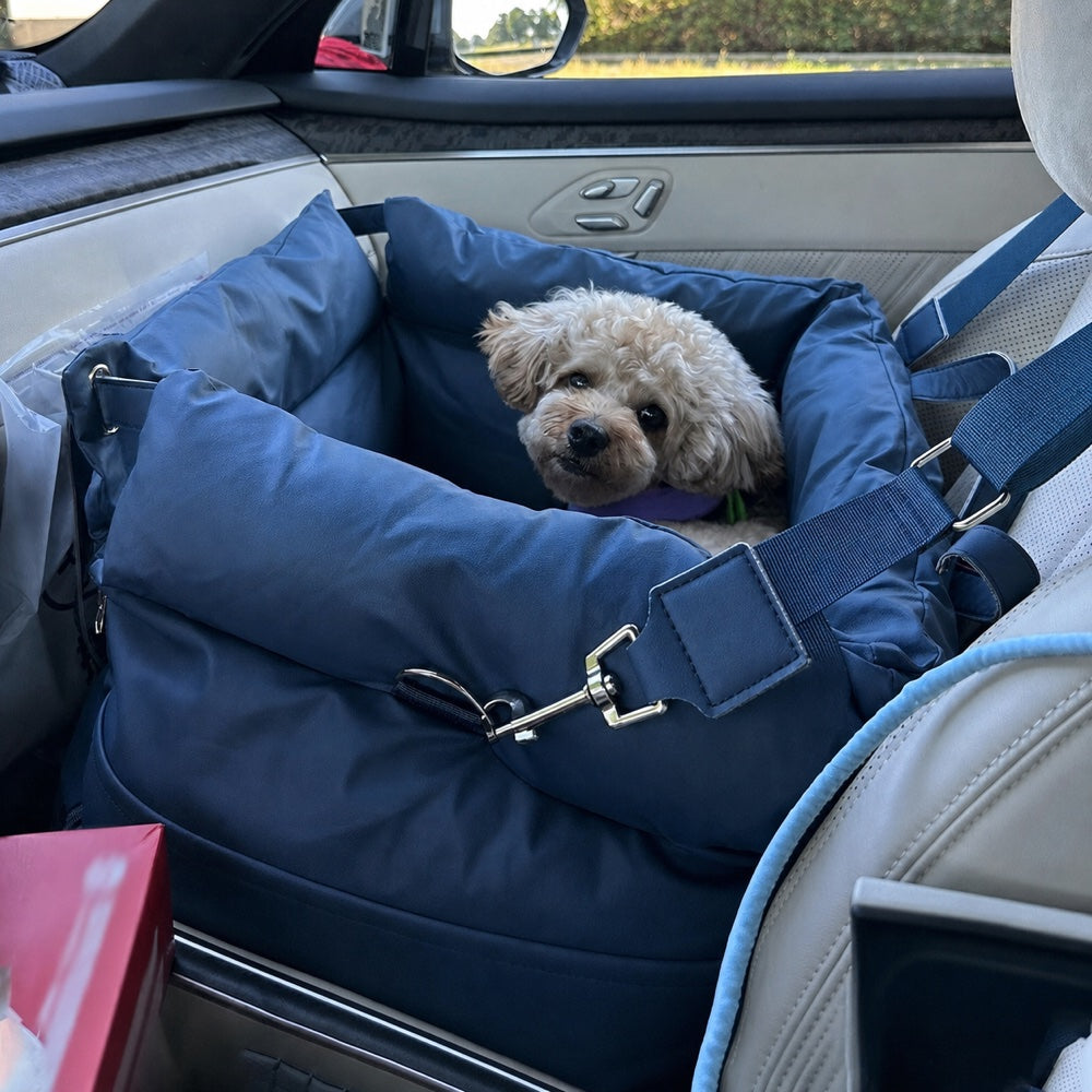 2-in-1 Car Seat Bed & Travel Carrier