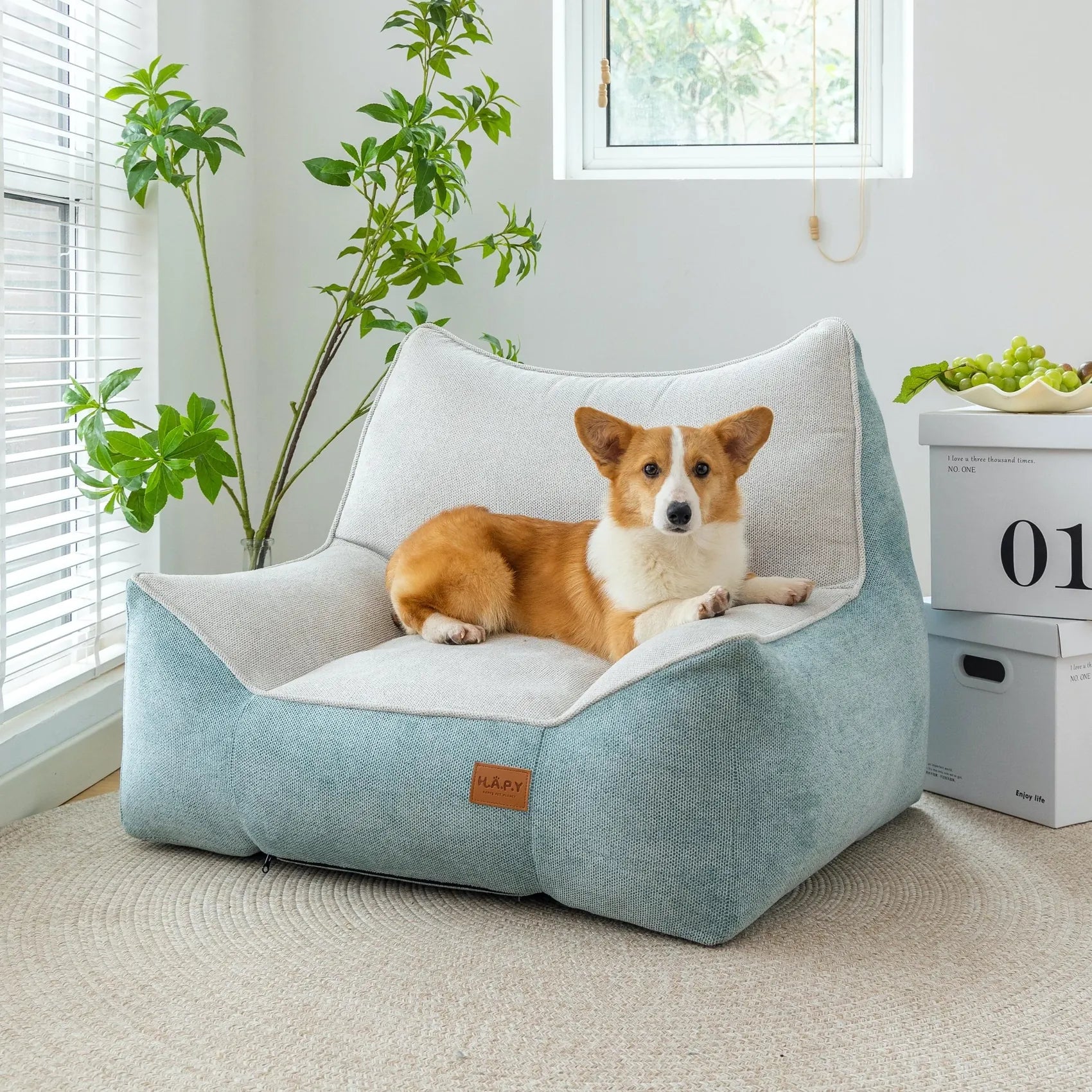 Dog relaxing in a pale blue DearPet pet sofa