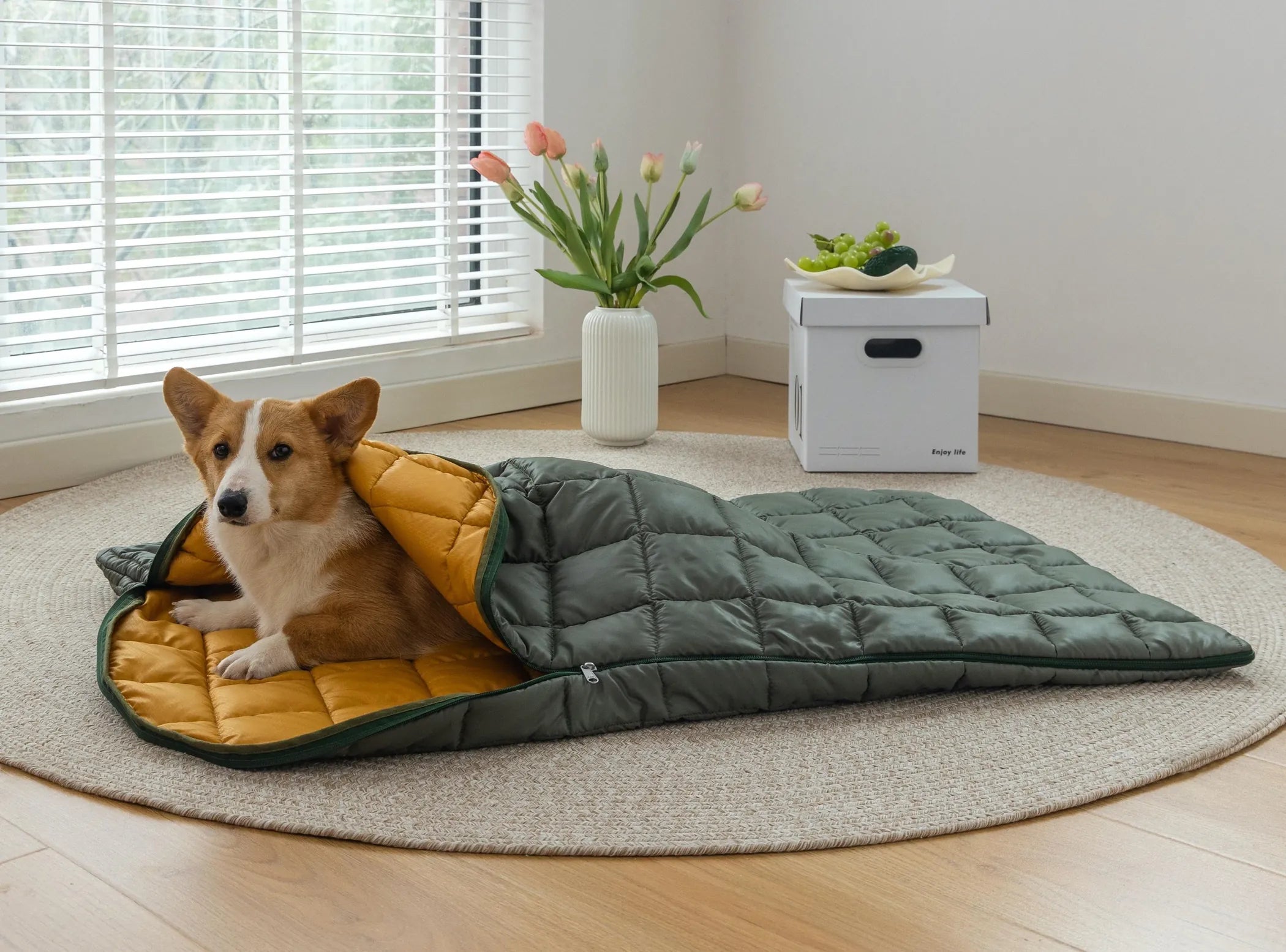 Dog resting on a quilted DearPet outdoor sleeping bag