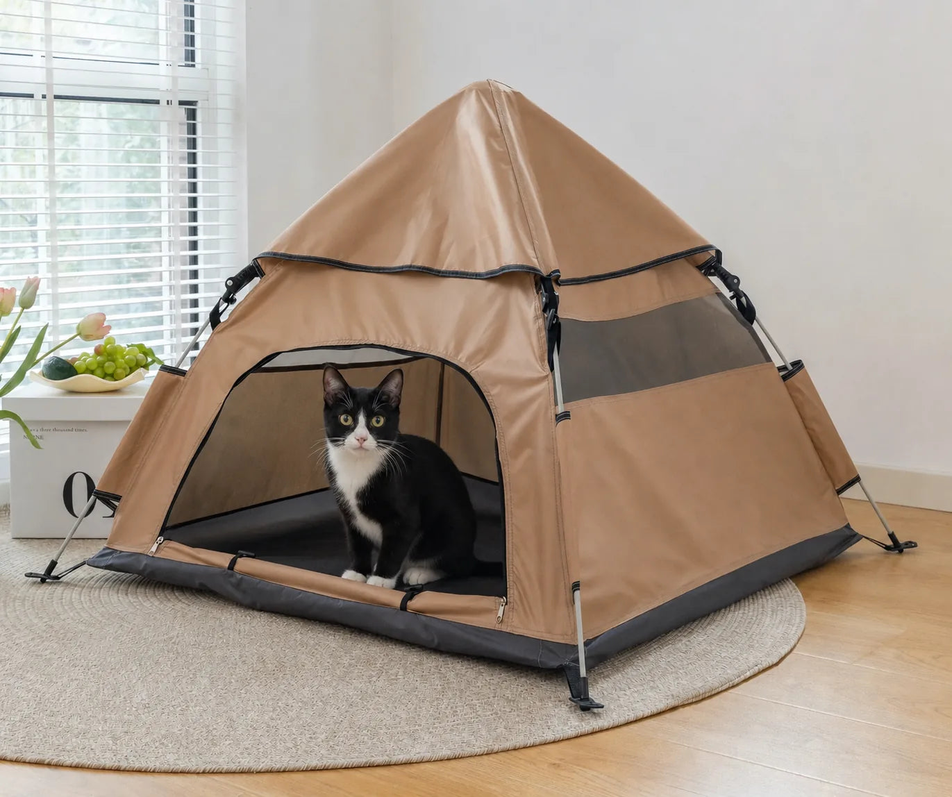Black and white cat sitting inside a DearPet quick-open pet tent